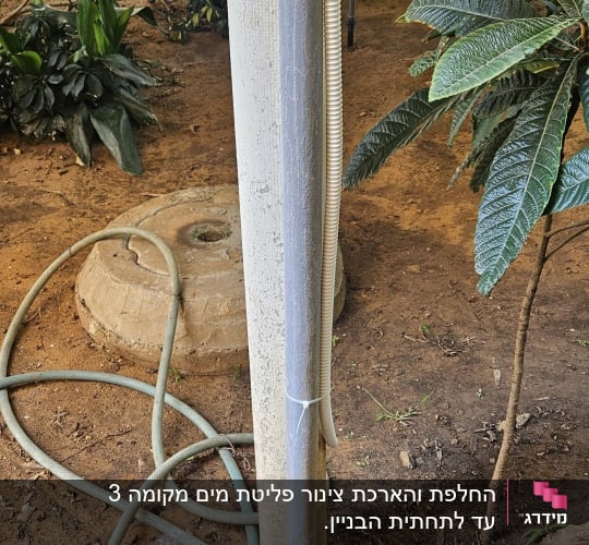 צינור וגינה עם צמחייה ועמוד